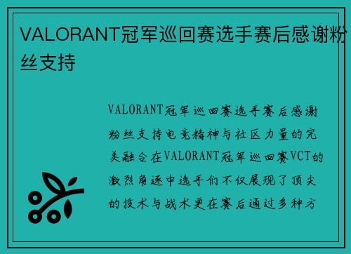 VALORANT冠军巡回赛选手赛后感谢粉丝支持