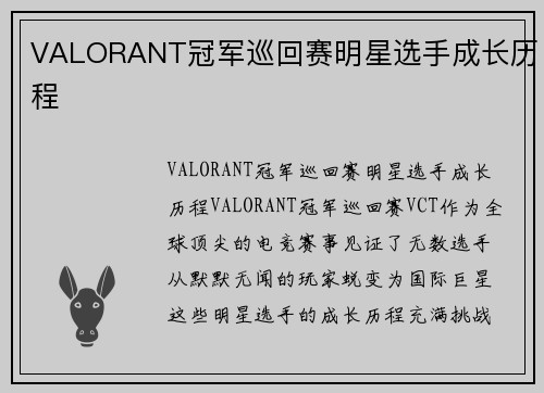 VALORANT冠军巡回赛明星选手成长历程
