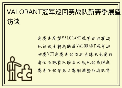 VALORANT冠军巡回赛战队新赛季展望访谈